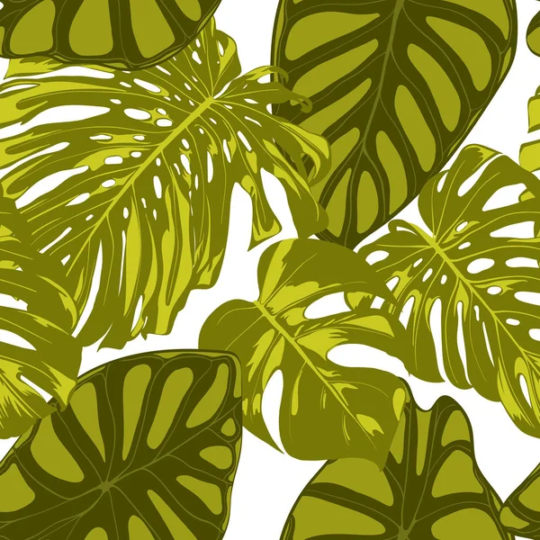 Trópusi levelek. Varrat nélküli mintát Monstera és Alocasia kézzel rajzolt levelekkel. Egzotikus Rapport textil, szövet. Vektor varratmentes háttérben trópusi növényekkel. Dzsungel lombozat. Akvarell hatás. — Stock Vector