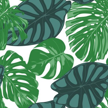 Sorunsuz elle çizilmiş botanik egzotik desenle bitkiyi ve Alocasia bırakır. Vektör orman bitki örtüsü suluboya tarzında. Tekstil, kumaş, kumaş, kağıt için sorunsuz Tropic yaprak arka plan.