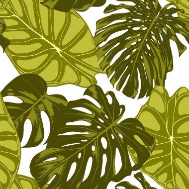 Tropikal yaprak. Monstera ve Alocasia elle çizilmiş yaprakları ile Seamless modeli. Tekstil, kumaş için egzotik uyum. Vektör sorunsuz arka plan tropik bitkiler ile. Orman bitki örtüsü. Suluboya efekti.