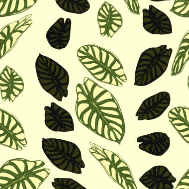 Dikişsiz tropikal desen. Yağmur ormanı bitkiler ile modaya uygun arka plan. Alocasia vektör yaprak. Yılanyastığıgiller. Orman yeşillik suluboya tarzında el yazısı. Tekstil, kumaş için seamless egzotik modeli.