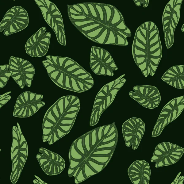 Sömlös tropiska mönster. Trendiga bakgrund med regnskog växter. Vector blad av Alocasia. Araceae. Handskrivna djungel bladverk i akvarell stil. Sömlös exotiska mönster för textil, tyg. — Stock vektor