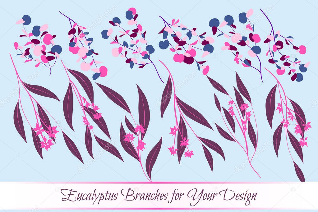 Eucalyptus Vector. Hojas y ramas vectoriales decorativas. Follaje