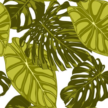 Tropikal yaprak. Monstera ve Alocasia elle çizilmiş yaprakları ile Seamless modeli. Tekstil, kumaş için egzotik uyum. Vektör sorunsuz arka plan tropik bitkiler ile. Orman bitki örtüsü. Suluboya efekti.