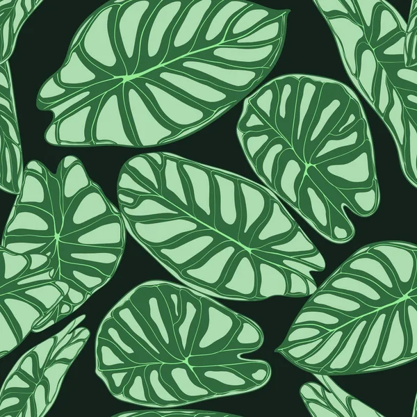 Varrat nélküli trópusi mintát. Trendi háttér eső erdei növények. Vektor levél Alocasia. Kontyvirágfélék. Kézírásos dzsungel lombozat akvarell stílusú. Varrat nélküli egzotikus mintát textil, szövet. — Stock Vector