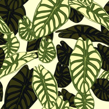 Dikişsiz tropikal desen. Yağmur ormanı bitkiler ile modaya uygun arka plan. Alocasia vektör yaprak. Yılanyastığıgiller. Orman yeşillik suluboya tarzında el yazısı. Tekstil, kumaş için seamless egzotik modeli.