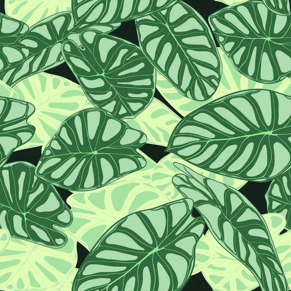 Dikişsiz tropikal desen. Yağmur ormanı bitkiler ile modaya uygun arka plan. Alocasia vektör yaprak. Yılanyastığıgiller. Orman yeşillik suluboya tarzında el yazısı. Tekstil, kumaş için seamless egzotik modeli. — Stok Vektör