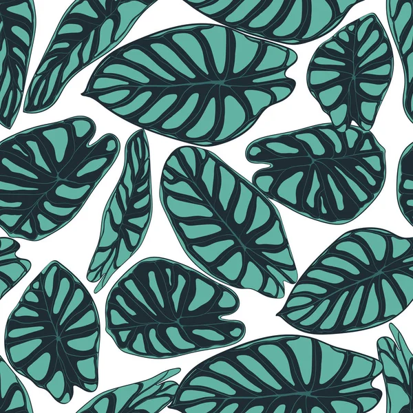 Modèle tropical sans couture. Fond à la mode avec des plantes de forêt tropicale. Feuille vectorielle d'Alocasie. Araceae. Feuillage de jungle manuscrit dans un style aquarelle. Modèle exotique sans couture pour textile, tissu . — Image vectorielle