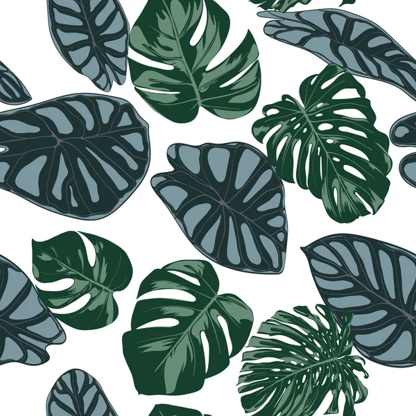 Vektor tropischen nahtlosen Muster. Philodendron und alocasia Blätter. Handgezeichnetes Dschungel-Laub im Aquarellstil. Exotischer Hintergrund. nahtloses tropisches Blatt für Textilien, Stoff, Dekoration, Papier. — Stockvektor