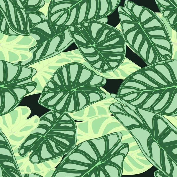 Patrón Tropical Inconsútil. Antecedentes de moda con plantas de selva tropical. Hoja Vectorial de Alocasia. Araceae. Follaje escrito a mano de la selva en estilo acuarela. Patrón exótico sin costuras para textiles, tela . — Vector de stock