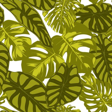 Tropikal yaprak. Monstera ve Alocasia elle çizilmiş yaprakları ile Seamless modeli. Tekstil, kumaş için egzotik uyum. Vektör sorunsuz arka plan tropik bitkiler ile. Orman bitki örtüsü. Suluboya efekti.