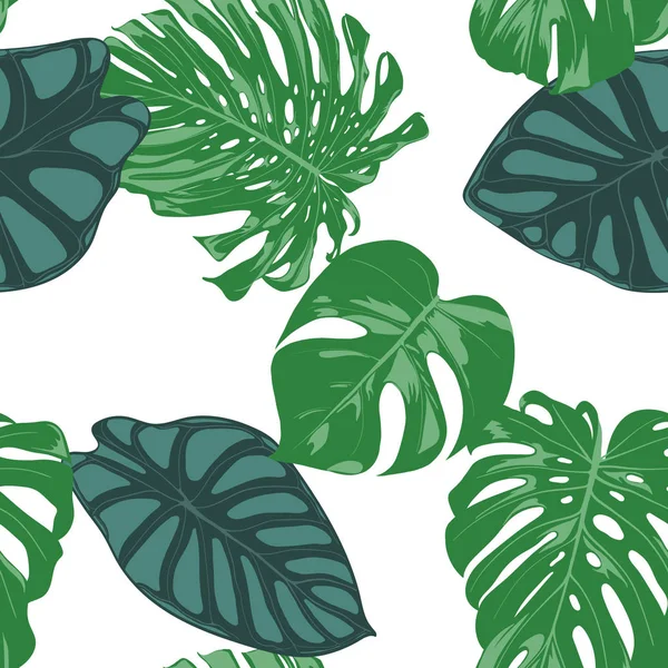 Naadloze Hand getrokken botanische exotische patroon met Philodendron en Alocasia verlaat. Vector Jungle gebladerte in aquarel stijl. Naadloze Tropic blad achtergrond voor textiel, doek, papier. — Stockvector