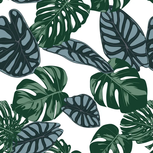 Schema Vector Tropic senza soluzione di continuità. Philodendron e Alocasia Leaves. Fogliame della giungla disegnato a mano in stile acquerello. Sfondo esotico. Foglia tropicale senza cuciture per tessuto, panno, tessuto, decorazione, carta . — Vettoriale Stock