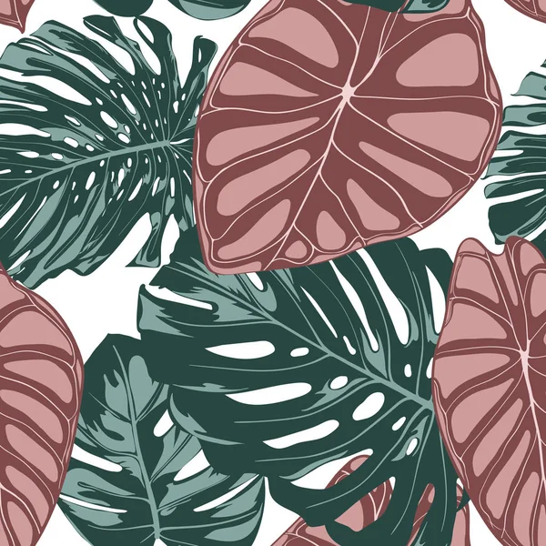 Folhas da selva tropical. Padrão sem costura vetorial. Philodendron ou Monstera planta repetindo fundo para têxteis, papel de parede, decoração de verão. Padrão sem costura floral com Alocasia e Folha de Monstera . — Vetor de Stock