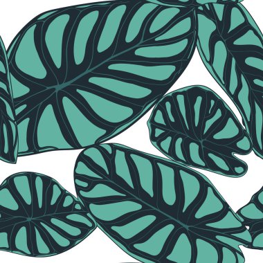Dikişsiz tropikal desen. Yağmur ormanı bitkiler ile modaya uygun arka plan. Alocasia vektör yaprak. Yılanyastığıgiller. Orman yeşillik suluboya tarzında el yazısı. Tekstil, kumaş için seamless egzotik modeli.