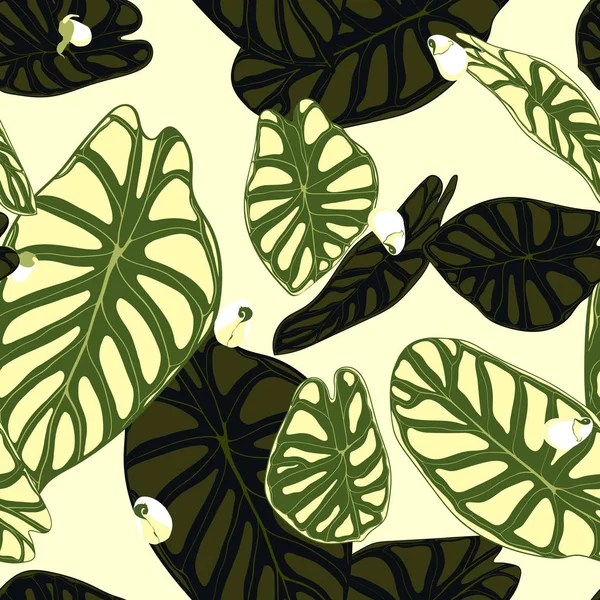 Sömlös tropiska mönster. Trendiga bakgrund med regnskog växter. Vector blad av Alocasia. Araceae. Handskrivna djungel bladverk i akvarell stil. Sömlös exotiska mönster för textil, tyg. — Stock vektor