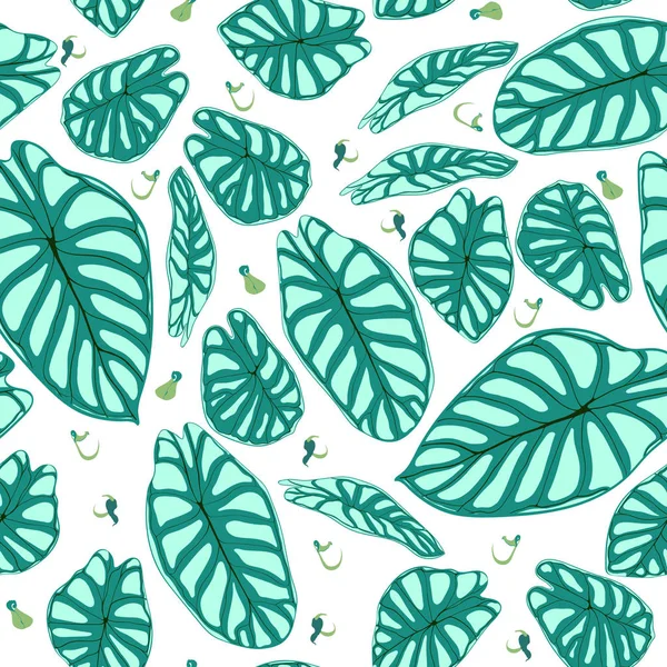 Patrón Tropical Inconsútil. Antecedentes de moda con plantas de selva tropical. Hoja Vectorial de Alocasia. Araceae. Follaje escrito a mano de la selva en estilo acuarela. Patrón exótico sin costuras para textiles, tela . — Vector de stock