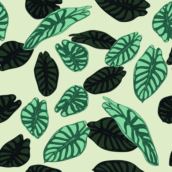 Patrón Tropical Inconsútil. Antecedentes de moda con plantas de selva tropical. Hoja Vectorial de Alocasia. Aráceas verdes. Follaje escrito a mano de la selva en estilo acuarela. Patrón exótico sin costuras para azulejos, tela . — Archivo Imágenes Vectoriales