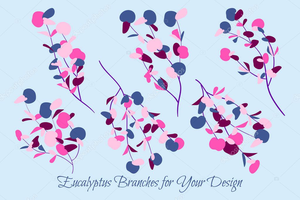 Eucalyptus Vector. Hojas y ramas vectoriales decorativas. Follaje