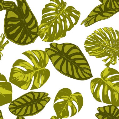 Tropikal yaprak. Monstera ve Alocasia elle çizilmiş yaprakları ile Seamless modeli. Tekstil, kumaş için egzotik uyum. Vektör sorunsuz arka plan tropik bitkiler ile. Orman bitki örtüsü. Suluboya efekti.