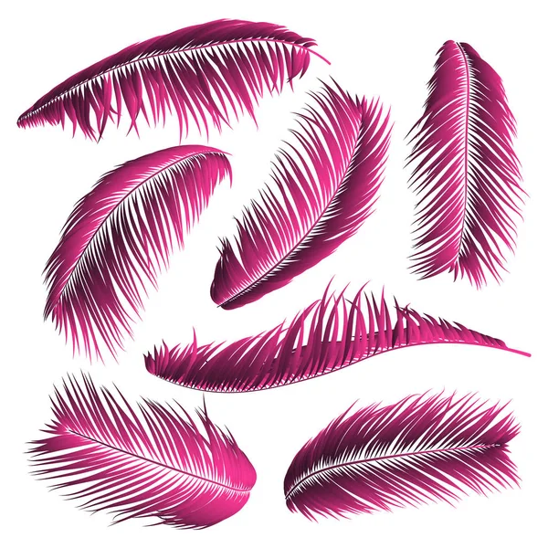 Pink Palm Leaves. Exotic Plants of Coconut. Trendy Branches Set. Vector Tropical Foliage. Botanical Illustration of Jungle Leaf. Pink Palm Leaves for Pattern, Print, Fabric, Textile or Trendy Design — Stock Vector