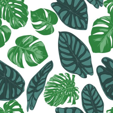 Sorunsuz elle çizilmiş botanik egzotik desenle bitkiyi ve Alocasia bırakır. Vektör orman bitki örtüsü suluboya tarzında. Tekstil, kumaş, kumaş, kağıt için sorunsuz Tropic yaprak arka plan.