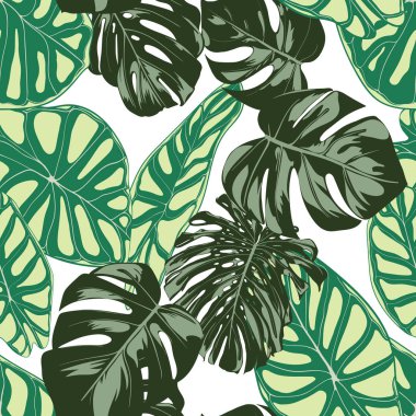 Tropik bitkiler ile Seamless egzotik modeli. Vektör arka plan el çizmek Monstera Palm ile bırakır. Parlak Rapport kumaş, tekstil tasarımı için. Orman bitki örtüsü. Alocasia ile Dikişsiz tropikal desen.