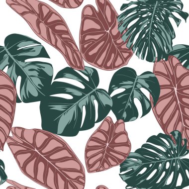 Tropikal orman yaprakları. Vektör Seamless modeli. Bitkiyi veya Monstera bitki arka plan Tekstil, duvar kağıdı, yaz dekorasyon için yinelenen. Alocasia ve Monstera yaprak çiçek Seamless modeli.