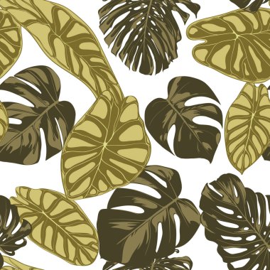 Tropikal yaprak. Monstera ve Alocasia elle çizilmiş yaprakları ile Seamless modeli. Tekstil, kumaş için egzotik uyum. Vektör sorunsuz arka plan tropik bitkiler ile. Orman bitki örtüsü. Suluboya efekti.