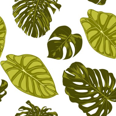Tropikal yaprak. Monstera ve Alocasia elle çizilmiş yaprakları ile Seamless modeli. Tekstil, kumaş için egzotik uyum. Vektör sorunsuz arka plan tropik bitkiler ile. Orman bitki örtüsü. Suluboya efekti.