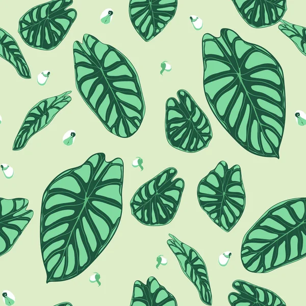 Modèle tropical sans couture. Fond à la mode avec des plantes de forêt tropicale. Feuille vectorielle d'Alocasie. Aracées vertes. Feuillage de jungle manuscrit dans un style aquarelle. Modèle exotique sans couture pour tuile, tissu . — Image vectorielle