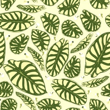Dikişsiz tropikal desen. Yağmur ormanı bitkiler ile modaya uygun arka plan. Alocasia vektör yaprak. Yılanyastığıgiller. Orman yeşillik suluboya tarzında el yazısı. Tekstil, kumaş için seamless egzotik modeli.