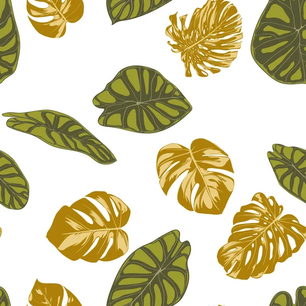 Patrón exótico botánico dibujado a mano sin costura con hojas de filodendro y locasia. Follaje de selva vectorial en estilo acuarela. Fondo de hoja tropical sin costura para textiles, telas, telas, papel . — Vector de stock