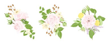 Gül ve çiçek öğeleri suluboya kümesi.