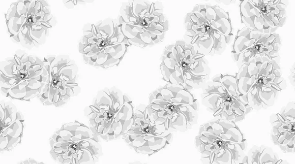 장미, 꽃 원활한 패턴. — 스톡 벡터
