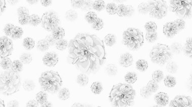 Güller, çiçek Seamless modeli.