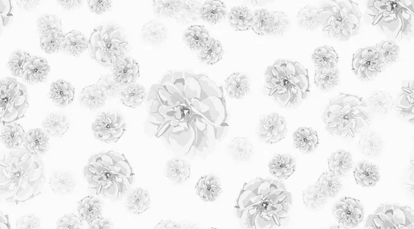 Roses, motif floral sans couture . — Image vectorielle