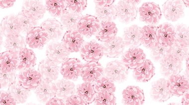 Suluboya güller, çiçek Seamless modeli.