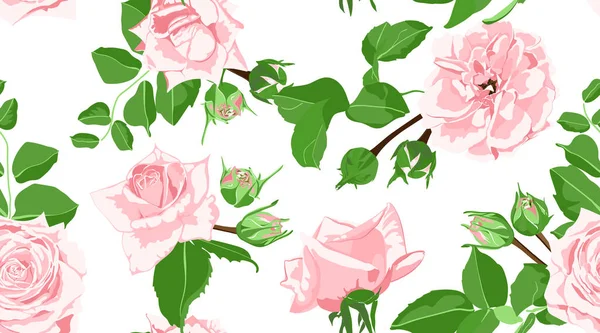 Roses Seamless Pattern in Vintage Style. — Stock Vector