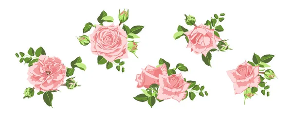 Vintage-Rosen Blumenstrauß für die Hochzeit. — Stockvektor