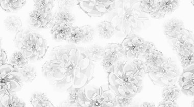 Güller, çiçek Seamless modeli.