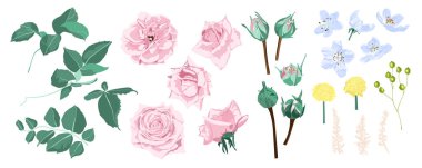 Güllü buket düğün çiçek kümesi.