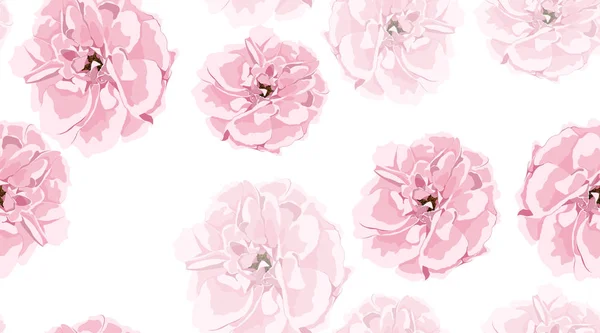 Akvarell rosor, sömlös blommönster. — Stock vektor