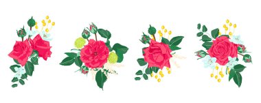 Düğün kartı davet tasarım, vektör gül.