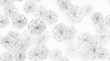 Güller, çiçek Seamless modeli.