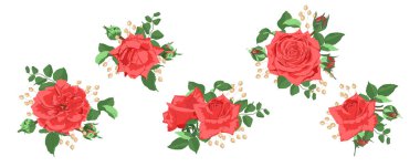 Düğün kartı davet tasarım, vektör gül.