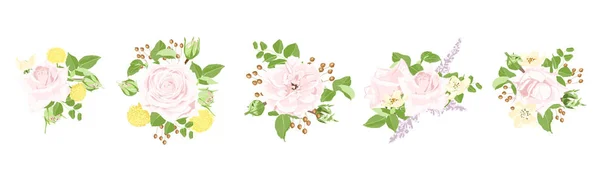 Aquarell-Set aus Rosen und floralen Elementen. — Stockvektor