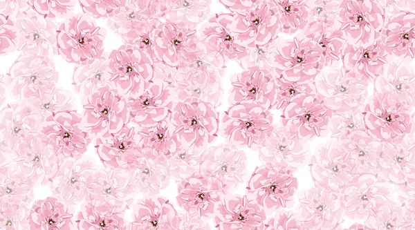 Watercolor Roses, Floral Seamless Pattern.