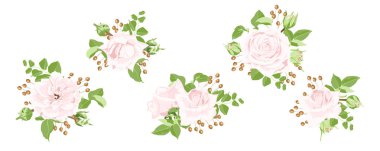 Gül ve çiçek öğeleri suluboya kümesi.