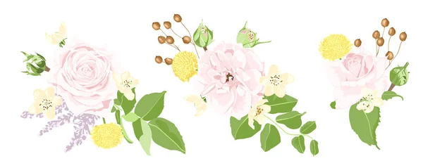 Aquarell-Set aus Rosen und floralen Elementen. — Stockvektor