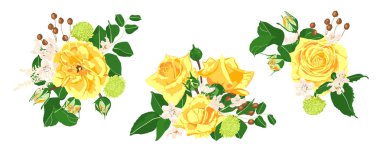 Çiçek düğün Set. Vektör gül buketi.